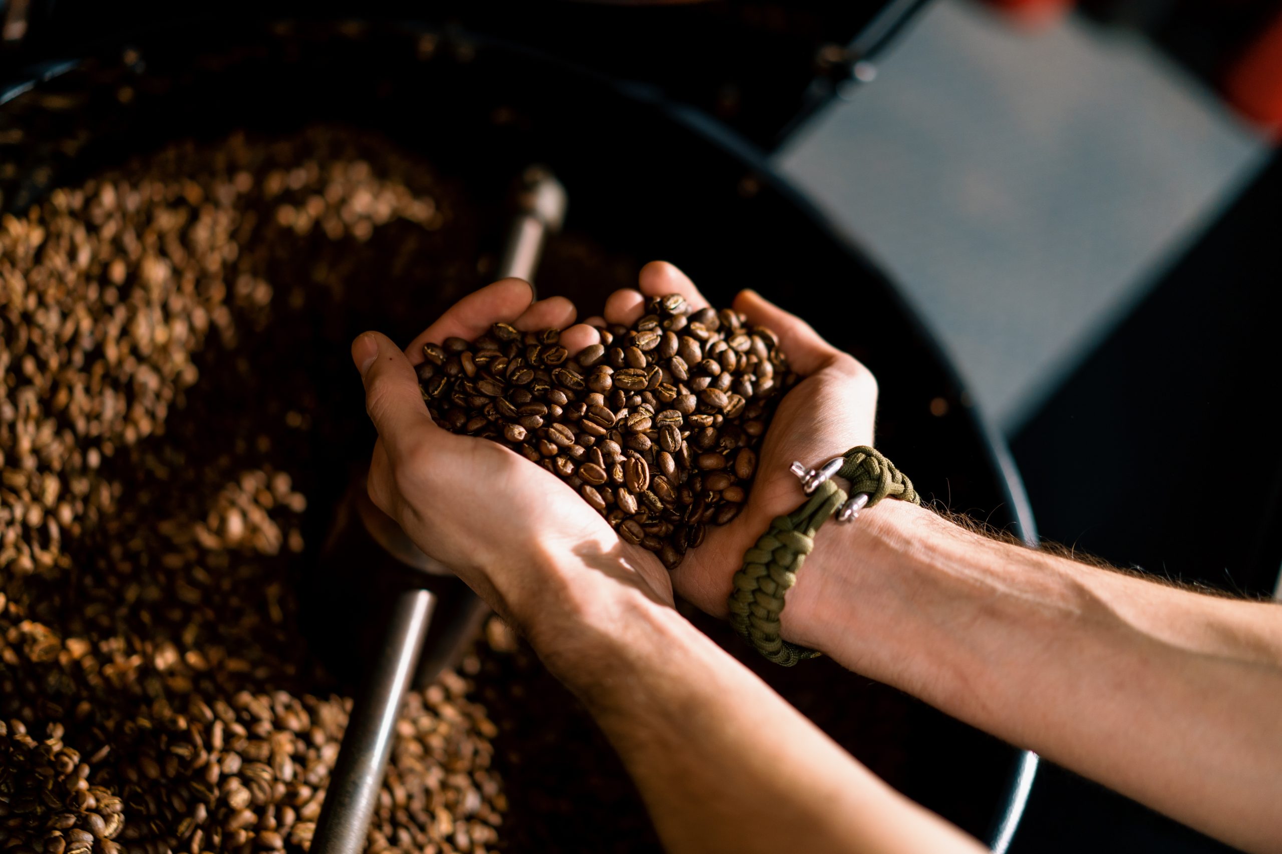 Granos de café: conoce las variantes que se cultivan en Perú